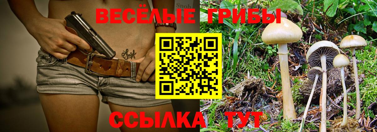 Псилоцибиновые грибы ЛСД  Вход с VPN  Псилоцибиновые грибы ЛСД  Партизанск 
